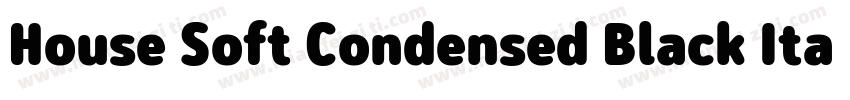House Soft Condensed Black Italic字体转换